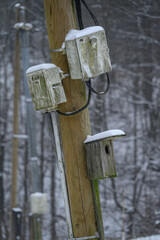 Bird wooden house on an electric wooden pole under switchgear.
