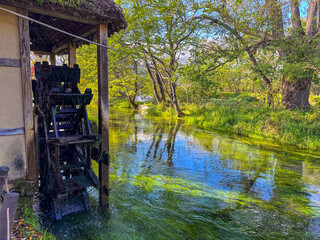 日本の長野県にある、水が美しいわさび農園の風景