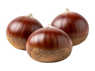 Obraz premium Three shiny brown chestnuts on a dark background