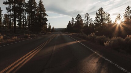 Empty road through sunlit forest, dappled light, sky with clouds, leading to the horizon