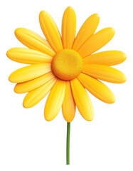Obraz premium PNG Daisy flower yellow petal.