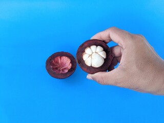 A hand holding a ripe mango fruit