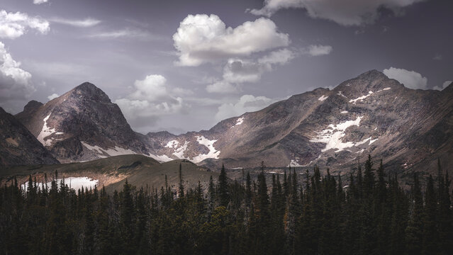 The Colorado Rocky Mountains and a blue sky with puffy white clouds. There is a forest of pine trees at the bottom of the photo.