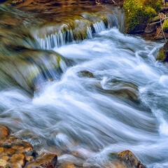 forest stream, waterfall with soft flowing motion