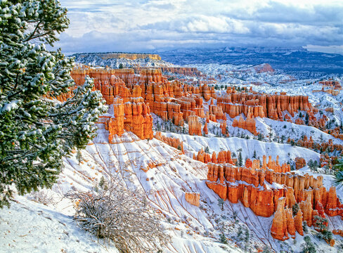Bryce Canyon National Park hoodoos set apart by the freshly fallen snow.