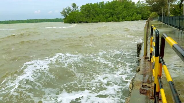 Strong waves hitting the seawall during rough sea conditions near the mangrove area.