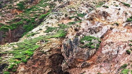Detailed Close Up View Of A Rugged Textured Cliff Face With Vibrant Green Moss And Vegetation Growing On Its Rocky Surface