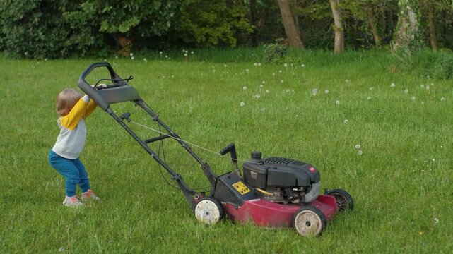 A toddler tries to push and pull a lawn mower across a green lawn. A young child plays with a lawn mower outside and learns about gardening.