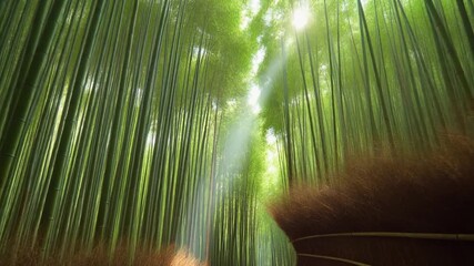 A serene bamboo forest with sunlight filtering through the foliage. - Powered by Adobe