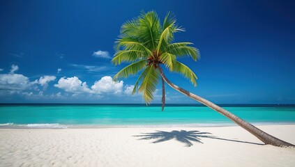 A serene tropical beach scene featuring a single palm tree leaning over soft white sand, turquoise-blue crystal-clear water, and a bright blue sky