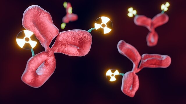 3D rendering of a Radioimmunoconjugate. It features a targeting monoclonal antibody linked, via a chelator, to a radionuclide or radioactive isotope for delivery to target cells.