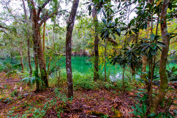 Blue Springs State Park, Florida
