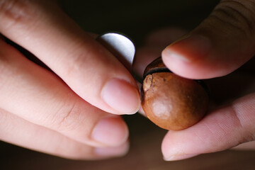 Open roasted macadamia with metal key. Macadamia nuts are rich in vitamins, minerals, fiber and antioxidant