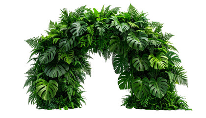 Lush green archway crafted from various tropical leaves against a transparent backdrop