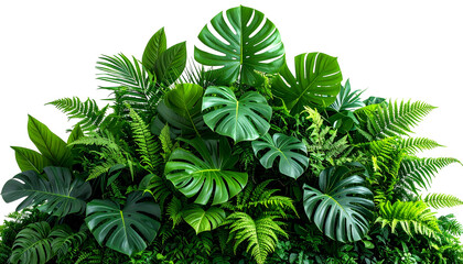 Lush arrangement of various vibrant green tropical leaves against a black backdrop