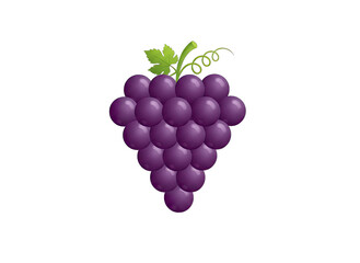 Purple Grape Cluster Icon with Green Stem and Leaf on Bright White Background Realistic Soft Gradients Clean Illustration Fruit Healthy Food