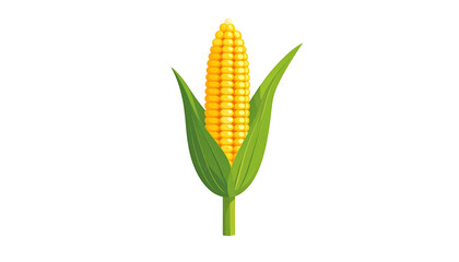 A single ear of bright yellow corn with green husks and a stalk, on black