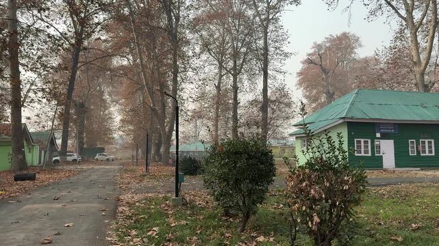 Autumn in Kashmir with vibrant red Chinar leaves and chinar big trees across Naseem Bagh in Hazratbal Dargah showcasing the beauty of Srinagar destination in Jammu and Kashmir. Clip 129