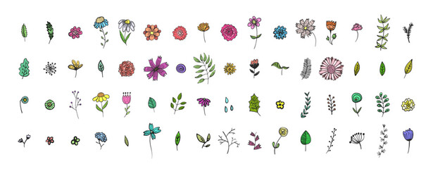 Big doodle set of hand drawn colorful vector leaves and flowers with black outline. Floral elements illustrations for clipart design, pattern, greeting card decor, icons, stickers