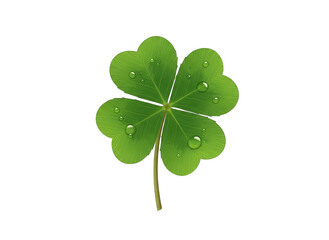 Single Green Four Leaf Clover with Water Droplets Isolated on Black Background with Soft Natural Lighting
