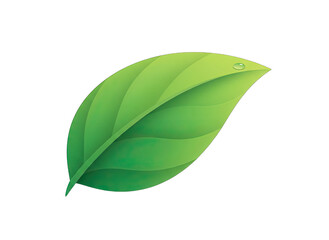 Single Green Leaf with Water Droplet Isolated on Black Background Subtle Veining Organic Shape and Gradient Shading