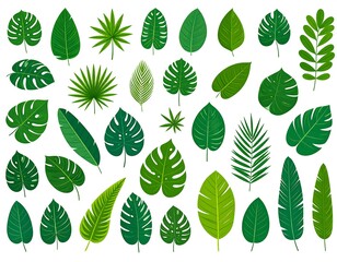 Fototapeta premium Assortment of stylized green leaves in various shapes and sizes, resembling tropical foliage