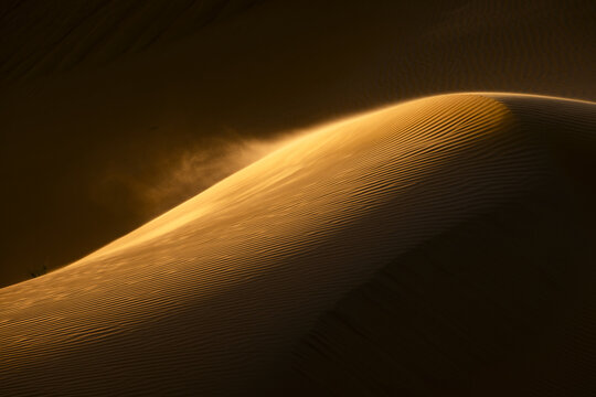 View of windswept golden sand dunes, sculpted by time and the elements, creating a mesmerizing dance of light and shadow, Rub' al-Khali, United Arab Emirates.