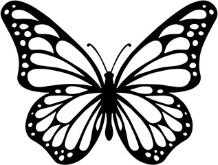 black butterfly on white background