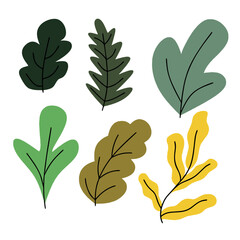Bold Flat Botanical Leaf Illustration Collection in Modern Style