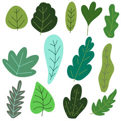 Fototapeta premium Soft Flat Botanical Leaf Clipart Set with Natural Shapes