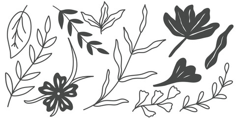 Fototapeta premium Hand-Drawn Botanical Floral Line Art Leaves and Decorative Elements