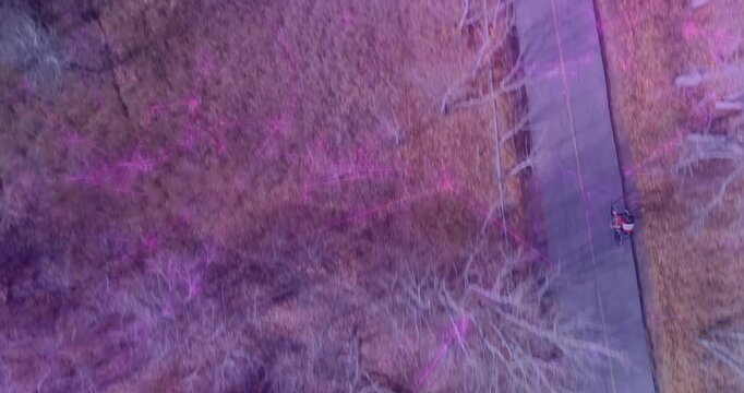 Male teen pedaling bicycle along paved trail for exercise, drone tracking revealing purple cast