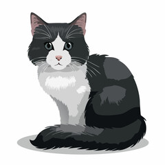 Elegant black and white cat illustration with detailed fur texture and expressive eyes