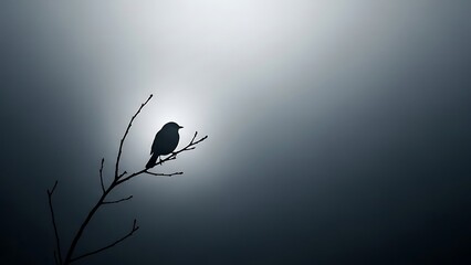 A solitary bird perched on a branch silhouetted against a soft, hazy light, evoking a sense of peace and contemplation