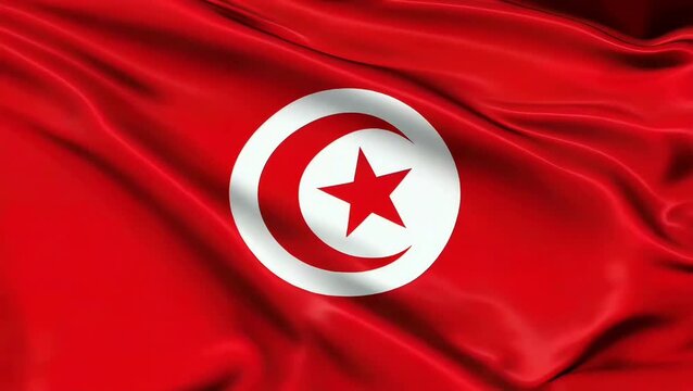 Tunisia National Flag Waving