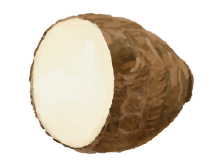 里芋半分カットのベクターイラスト(縦切り 料理素材)