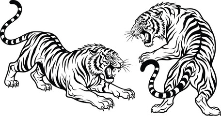 Tiger vector illustration, aggressive animal poses, black and white wild cat artwork, fierce jungle predator design, cad drawing flat vector illustration © LatifunNahar