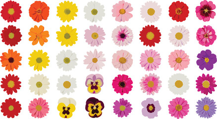 Grid floral vector illustration, colorful flower icons, symmetrical petal design, botanical clipart, nature elements, decorative blossoms, cad drawing flat vector illustration