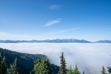 mountain landscape with fog