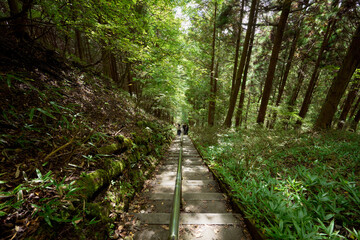 Fototapeta premium 石割神社の長い階段