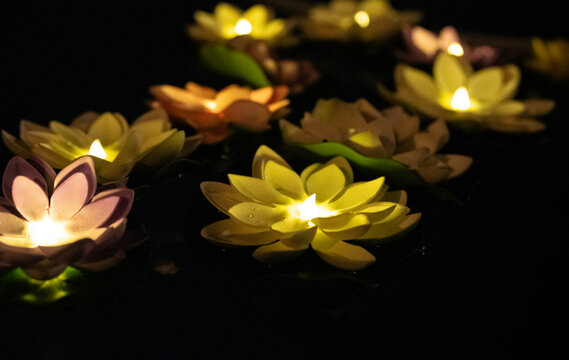 Illuminated swimming pool decorations, at night. 