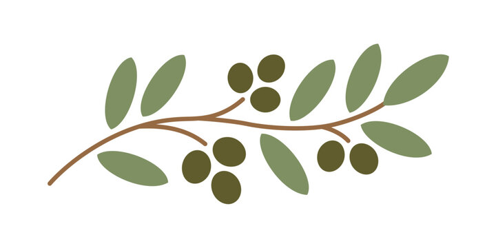 Simple flat vector illustration of an olive branch with green leaves and dark olives, representing Mediterranean food and peace.