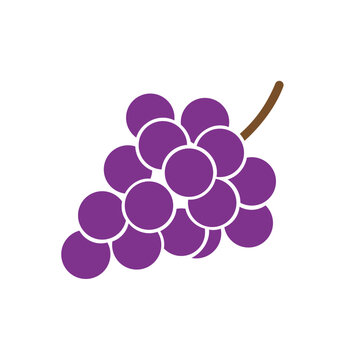 Simple cluster of purple grapes on a brown stem, a popular fruit and wine-making flat vector icon.
