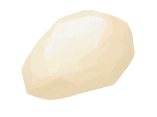 里芋 皮むき済み ベクターイラスト