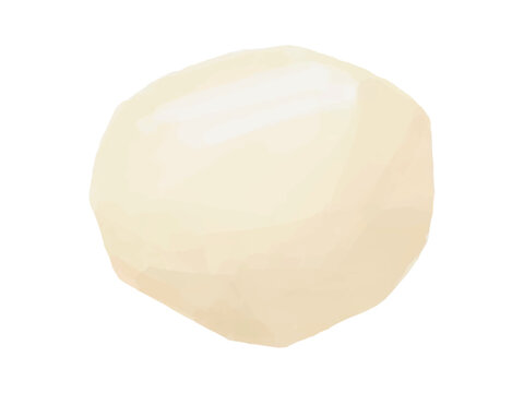 皮を剥いた里芋のベクターイラスト(丸ごと 料理素材)