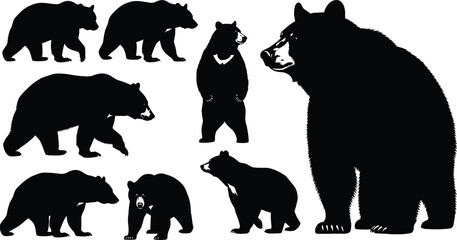 PrintSilhouette of Asiatic black bear vector illustration set, wild animal collection with white chest mark, isolated on white background, standing moon bear.