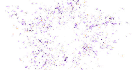 White and purple flower petals flying here in the wind. Colorful several flowers. Isolated on alpha background. 3D rendering.