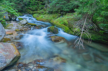 View of the stream flowing swiftly over rocks and moss-covered banks, framed by lush greenery, creating a tranquil scene, Bobrovec, Zilinsky kraj, Slovakia.
