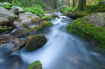 View of a tranquil river flowing swiftly over moss-covered stones in a lush green forest, nature's serene beauty captured in Bobrovec, Zilinsky kraj, Slovakia.