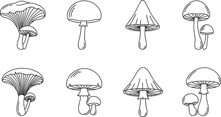 mushroom illustration, hand drawn fungi, stylized mushrooms, cartoon mushroom art, blue outline sketch, educational fungi, mushroom species, nature drawing